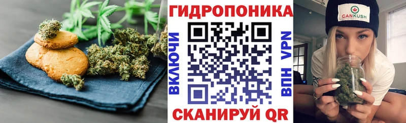 Купить закладки  Бирюч  Canna-Cookies марихуана 
