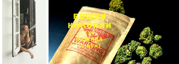 амф Козловка