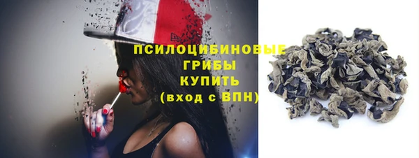 амф Козловка
