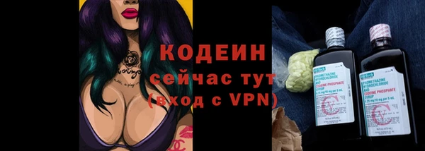 амф Козловка