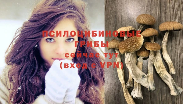 амф Козловка