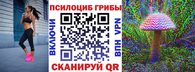 Купить  Бирюч  Галлюциногенные грибы GOLDEN TEACHER 